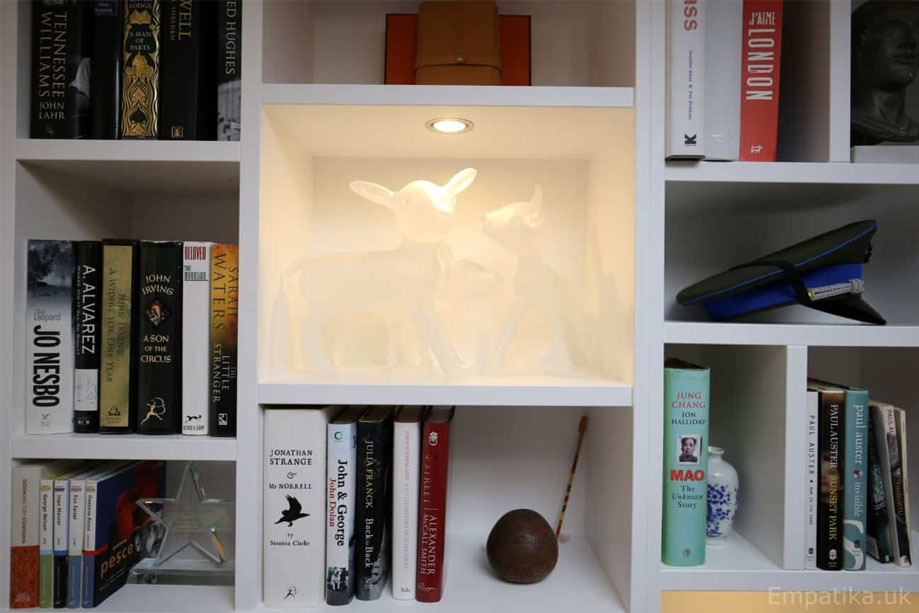 Closer view of built in display unit shallow shelvig with ambient LED light